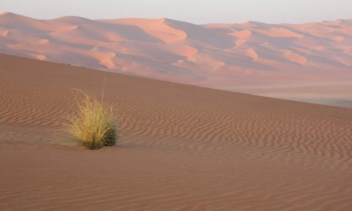 Empty Quarter Expedition