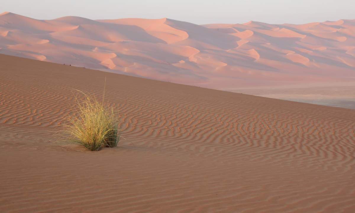 AlUla & Desert: Layers Are Essential