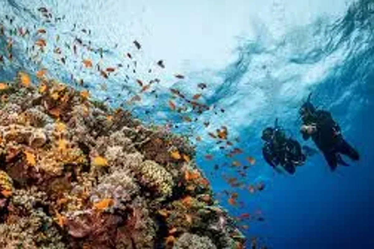 Luxury Red Sea Island Escape